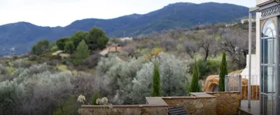 View from the terrace over olive trees and cypresses to the mountains