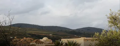 Domes and rooftops of the estate against olive-covered hills under cloud