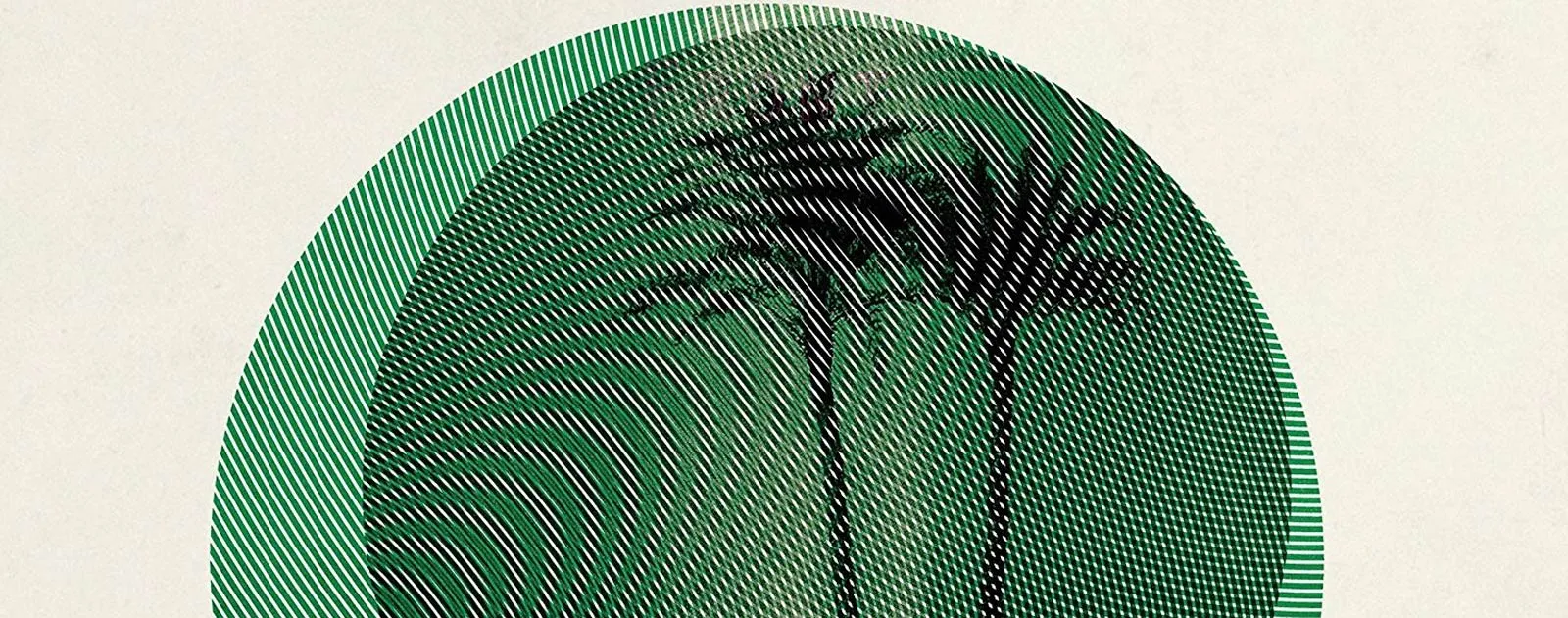 Line-pattern illustration of a palm tree inside a green circle