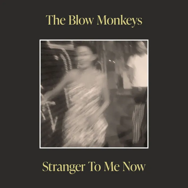 Stranger to Me Now